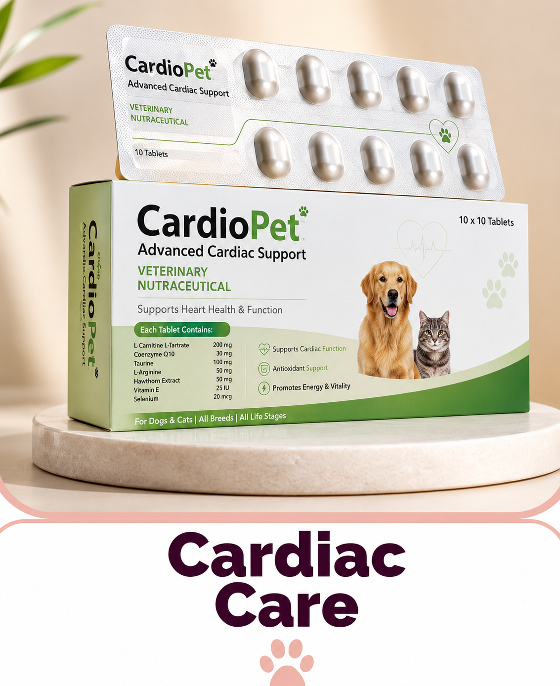 Cardiac Care