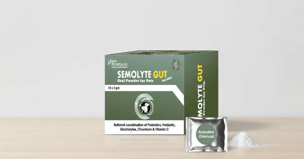 Swiss Biocare Semolyte Gut Oral Powder Digestive Recovery in Dogs & Cats