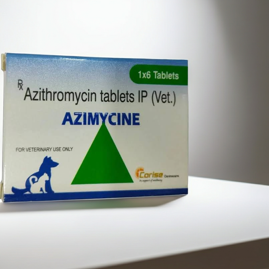 Corise Azimycine 500mg Tablets 6's â€“ Broad-Spectrum Antibiotic for Bacterial Infections