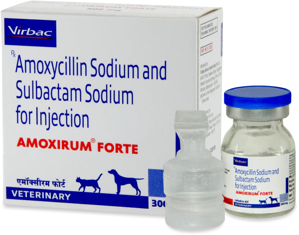 Virbac Amoxirum Forte Injection 300 mg for Dogs & Cats - 5ml | Amoxycillin + Sulbactam Broad-Spectrum Veterinary Antibiotic