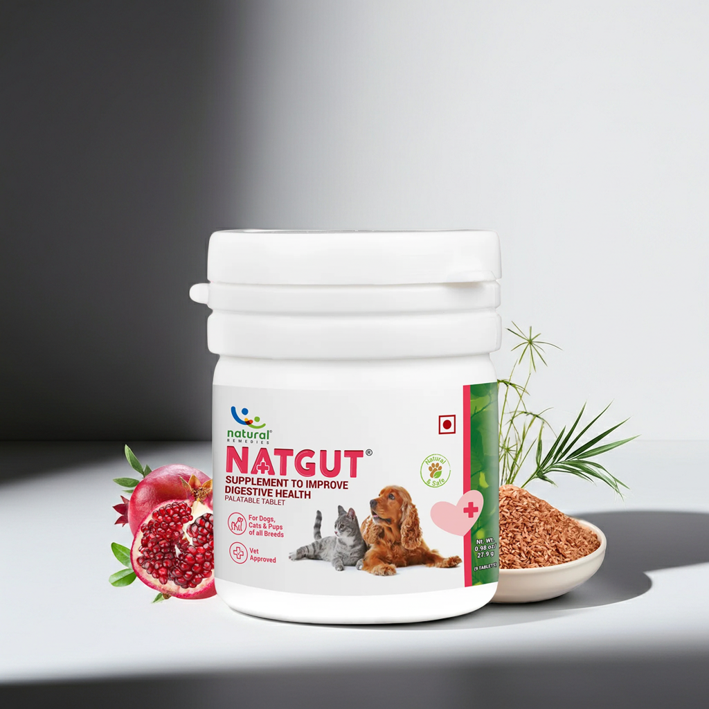Natural Remedies Natgut Capsules â€“ Digestive Health Supplement for Gut Support