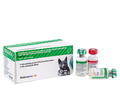 MSD Nobivac Tricat Trio Vaccine 1 Dose for Cats | Feline Core Vaccination | MSD Animal Health