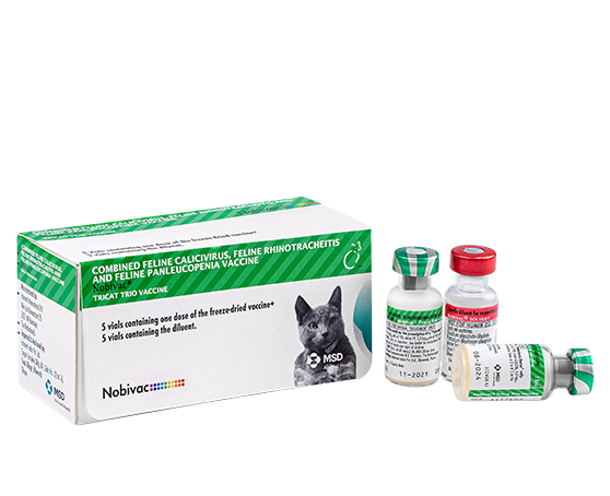 MSD Nobivac Tricat Trio Vaccine 1 Dose for Cats | Feline Core Vaccination | MSD Animal Health
