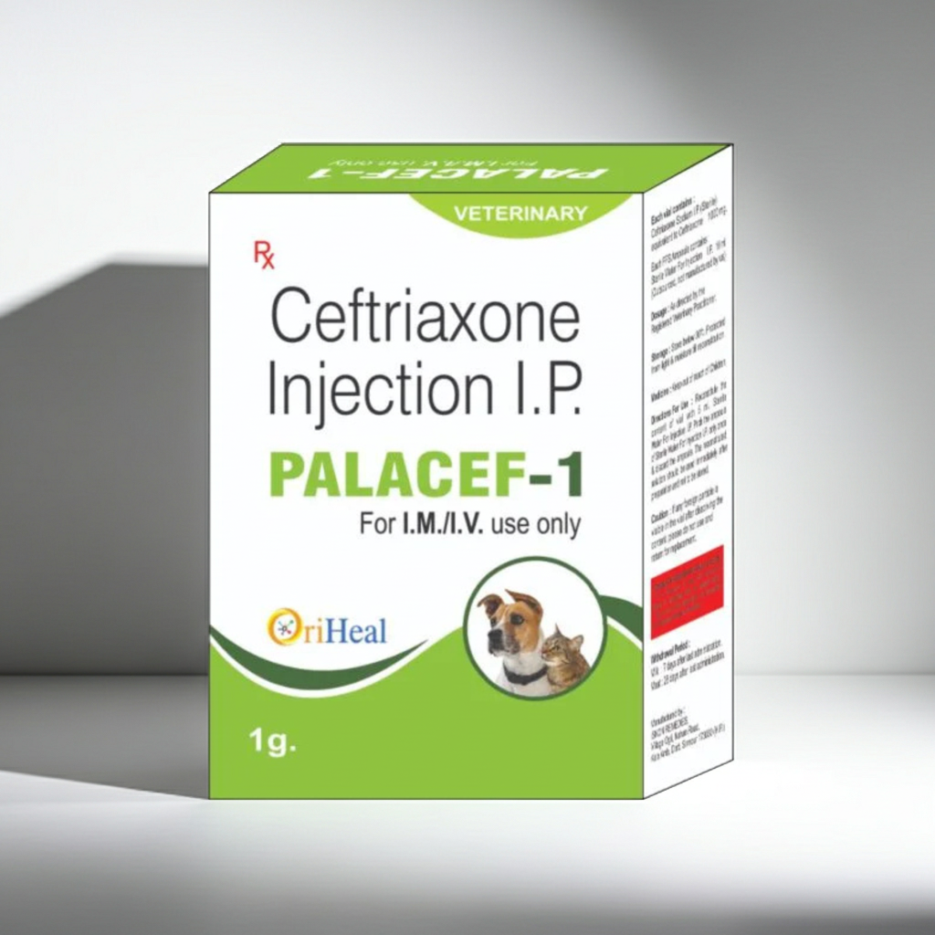 Oriheal Palacef-1 1g Injection â€“ Veterinary Injection for Animals | Trusted Oriheal Animal Health Product