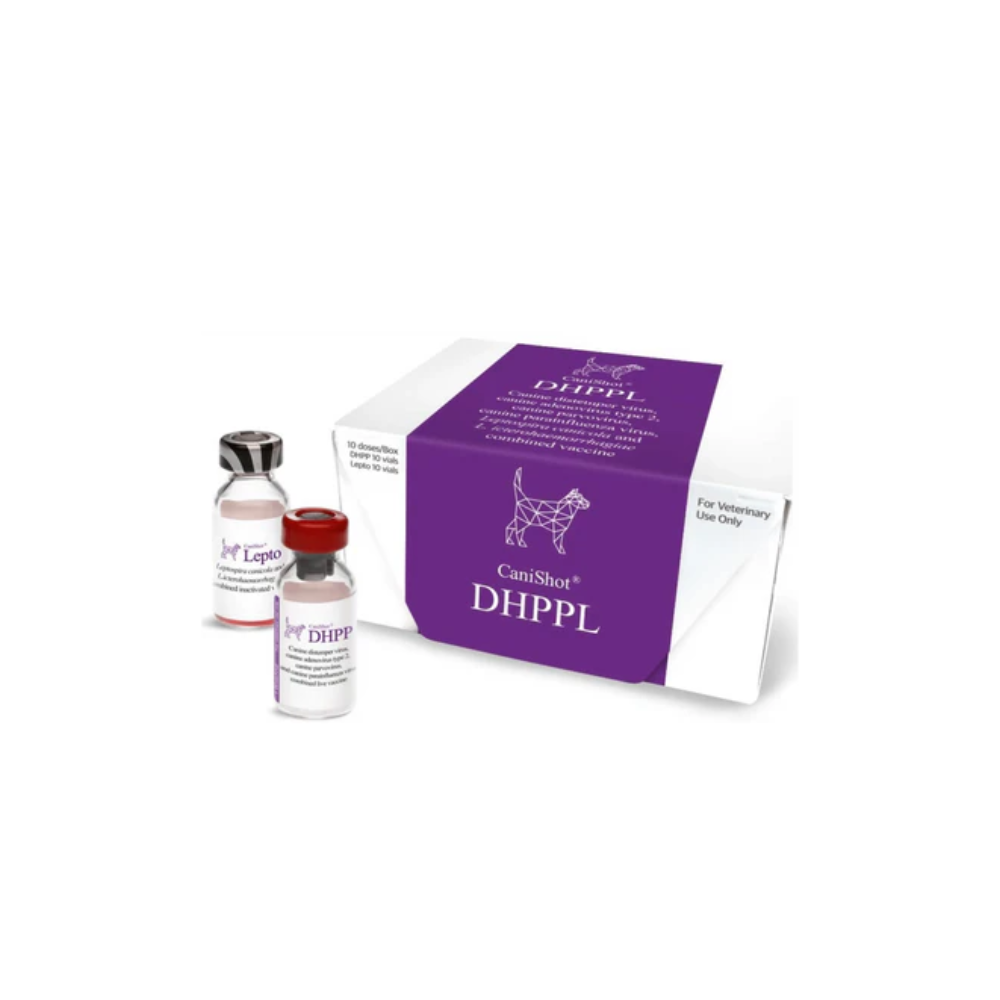 Intas Canishot DHPPL Dog Vaccine 1 Dose Vaccine for Distemper, Hepatitis, Parvo, Parainfluenza & Leptospirosis