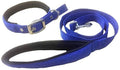Paws & Tailsâ„¢ Nylon Padded Dog Leash & Collar Set