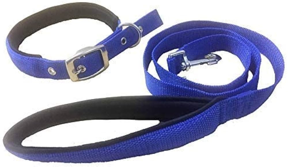 Paws & Tailsâ„¢ Nylon Padded Dog Leash & Collar Set