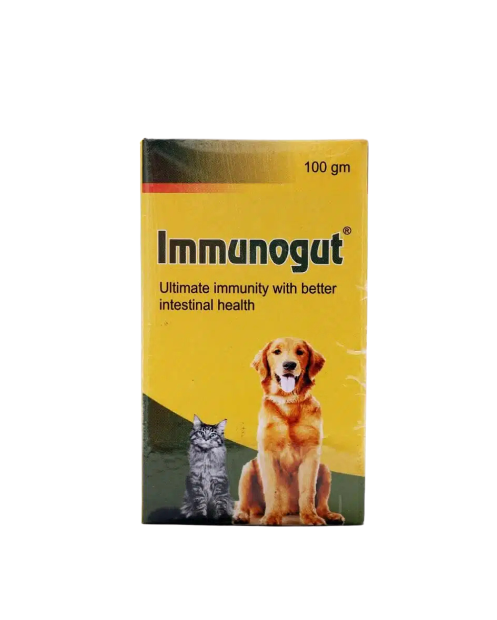 Assurem Immunogut Powder for Dogs & Cats â€“ Advanced Gut Health, Probiotic Digestive Care & Immune Support Supplement by Nuage Remedies (100g)