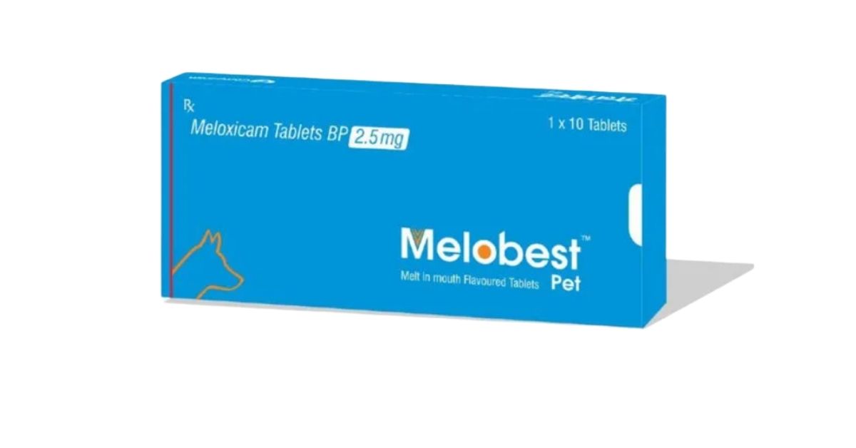 TTK Melobest Tablet for Dogs â€“ Meloxicam Pain Relief & Anti-Inflammatory Treatment - 2.5 mg