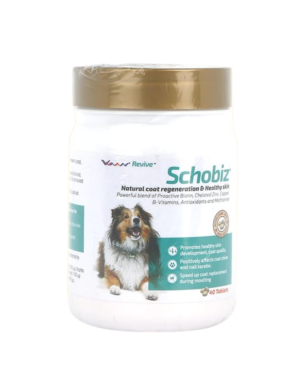 VVAAN Schobiz Tablets 40â€™s for Dogs | Antifungal & Antibacterial Skin Supplement for Itching, Mange, Fungal Infection & Dermatitis
