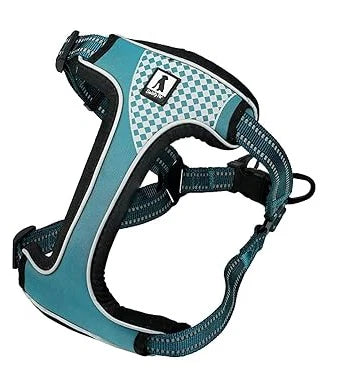 Paws & Tailsâ„¢ Flamingo Dog Harness Medium
