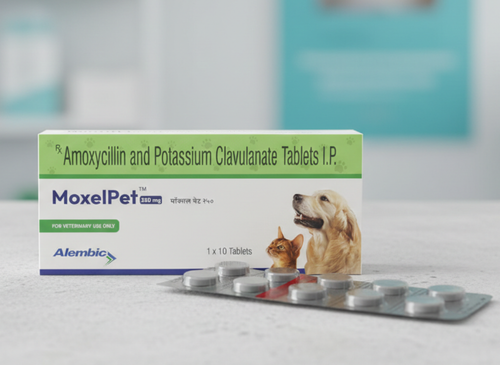 Alembic MoxelPet Amoxycillin & Potassium Clavulanate Tablets for Dogs and Cats | Broad-Spectrum Veterinary Antibiotic - Pack of 10 Tablets