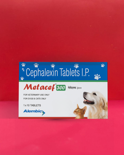 Allembic Metacef Tablet Pack of 10 Tablets â€“ Cefpodoxime Proxetil Antibiotic for Bacterial Infections