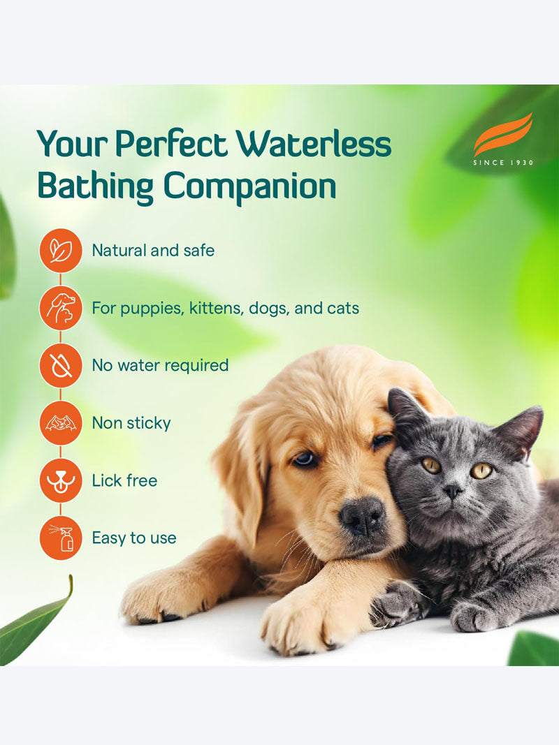 Himalaya Fresh Coat 200ml â€“ Herbal Dog & Cat Coat Conditioner Spray for Shiny, Tangle-Free Fur | Natural Pet Grooming & Hair Care Solution