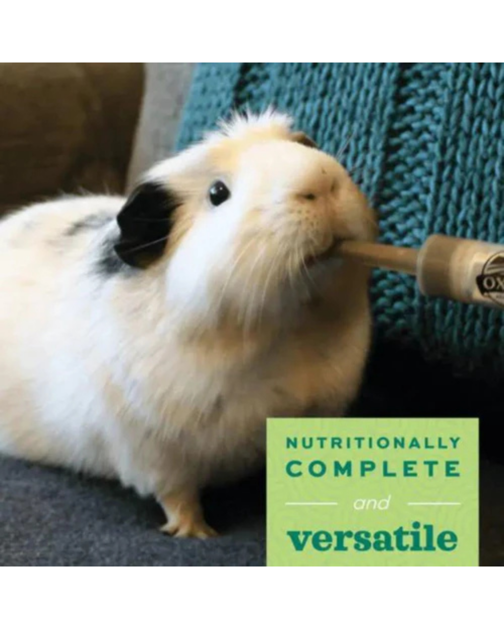 Oxbow Critical Care Herbivore Fine Grind Papaya 100g â€“ Premium Recovery Food for Small Herbivores, Rabbits, Guinea Pigs, Chinchillas