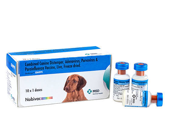 MSD Nobivac DHPPI + L4 Dog Vaccine | Distemper, Parvo, Parainfluenza & Leptospirosis Protection