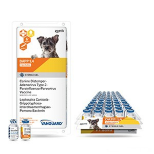 Zoetis Vanguard DAPP+L4 Canine Vaccine 1 Dose â€“ Distemper, Parvo, Adenovirus, Parainfluenza & Leptospirosis Protection