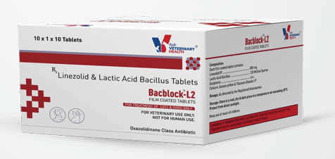 Drools Bacblock-L2 Antibiotic Tablets for Dogs â€“ Bacterial Infection Treatment & Digestive Support