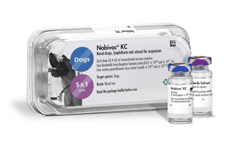 MSD Nobivac KC Vaccine 1 Dose â€“ Canine Kennel Cough Vaccine for Dogs (Bordetella & Parainfluenza)