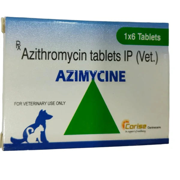 Corise Azimycine 500mg Tablets 6's â€“ Broad-Spectrum Antibiotic for Bacterial Infections