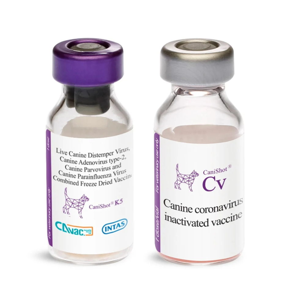 Canishot CV Vaccine for Dogs â€“ Canine Coronavirus Protection | Subcutaneous Injection | 1 Dose