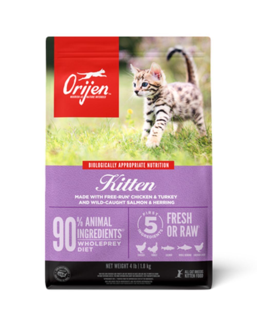 Orijen Kitten Dry Cat Food for All Breeds | Grain-Free, High-Protein Nutrition for Healthy Growth & Brain Development