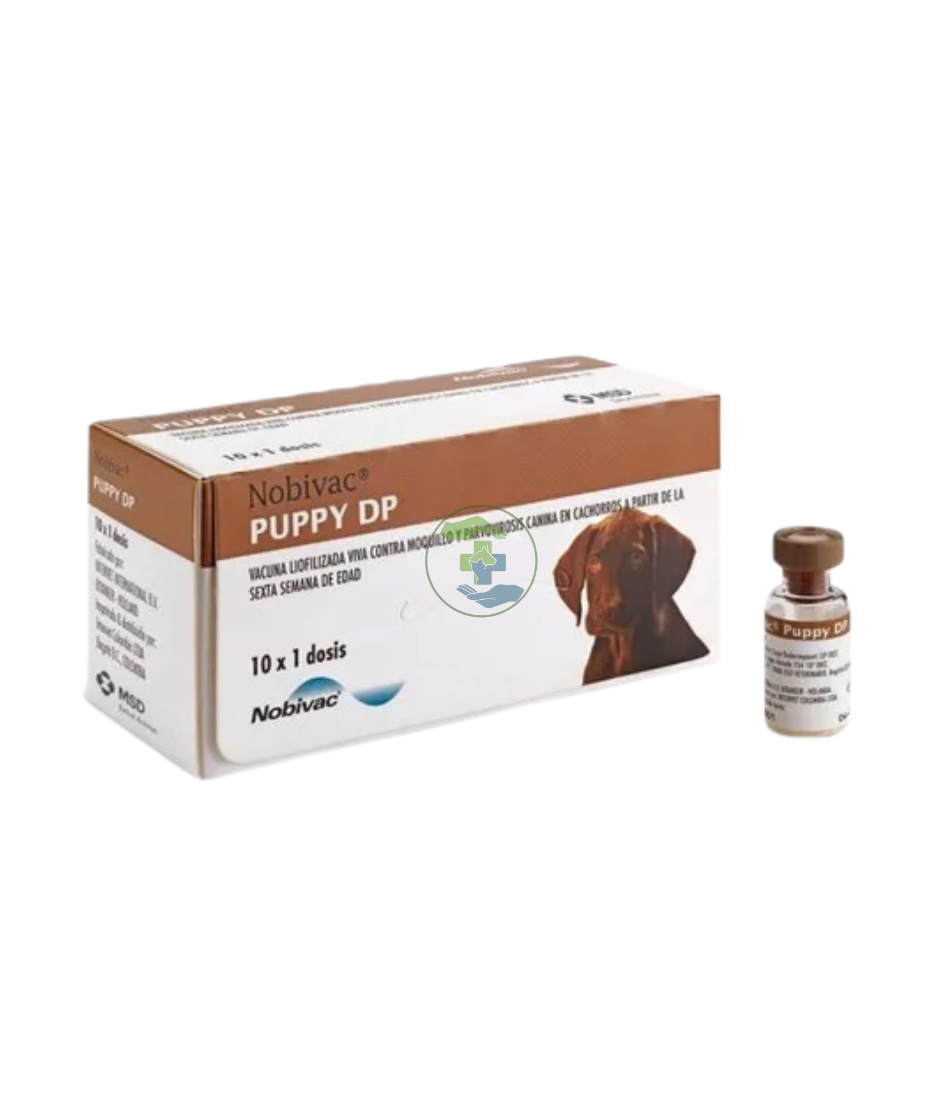 MSD Nobivac Puppy DP Vaccine 1 Dose for Dogs â€“ Canine Distemper & Parvovirus Protection | Puppy Core Vaccine