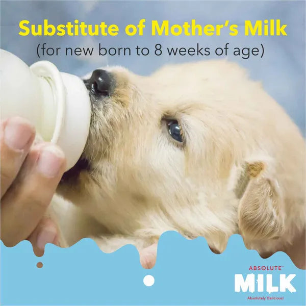 Drools Absolute Milk Replacer for Puppies & Kittens 500g