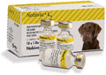 MSD Nobivac DHPPI + L4 Dog Vaccine | Distemper, Parvo, Parainfluenza & Leptospirosis Protection