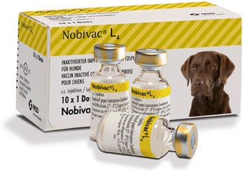 MSD Nobivac DHPPI + L4 Dog Vaccine | Distemper, Parvo, Parainfluenza & Leptospirosis Protection