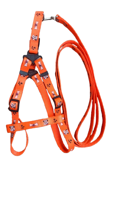 Paws & Tailsâ„¢ Premium 15mm Dog Leash & Harness Set