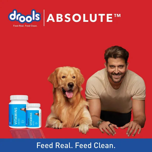 Drools Absolute Vitamin Supplement for Dogs
