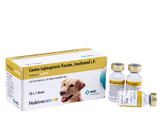 MSD Nobivac DHPPI + Lepto Dog Vaccine | Distemper, Parvo, Parainfluenza & Leptospirosis Protection