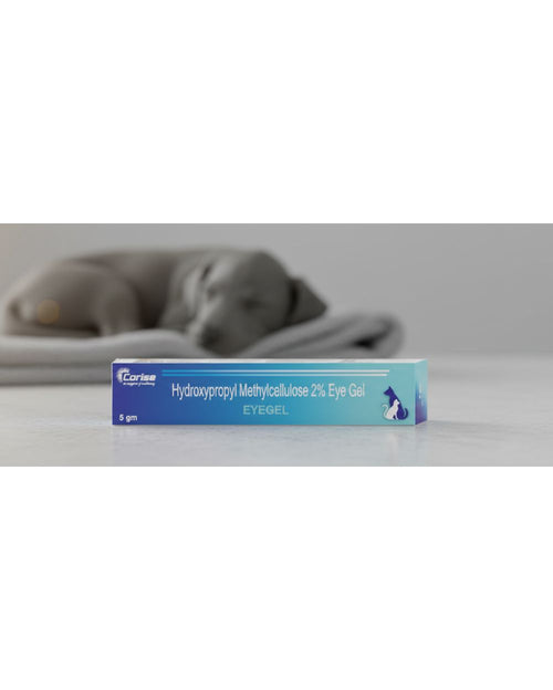Corise Eyegel  5 gm for Dogs and Cats