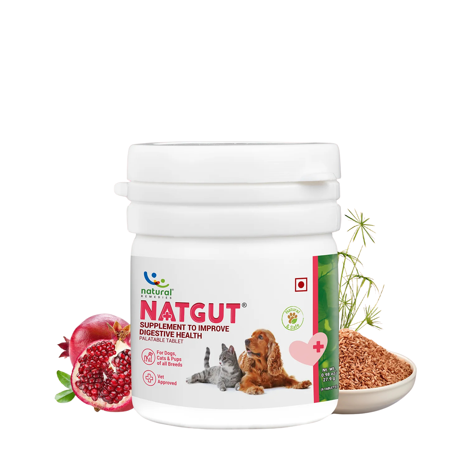 Natural Remedies Natgut Capsules â€“ Digestive Health Supplement for Gut Support