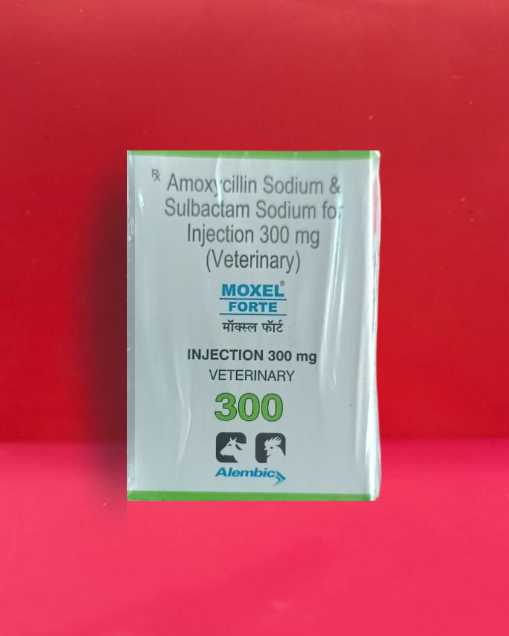 Alembic Moxel Forte Amoxicillin + Sulbactam Injection for Pets