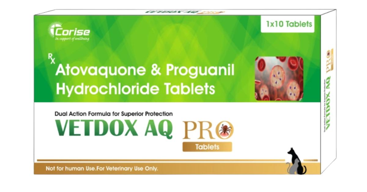 Corsie Vetdox AQ Pro for Dogs â€“ Effective Treatment for Canine Babesiosis Caused by Babesia gibsoni