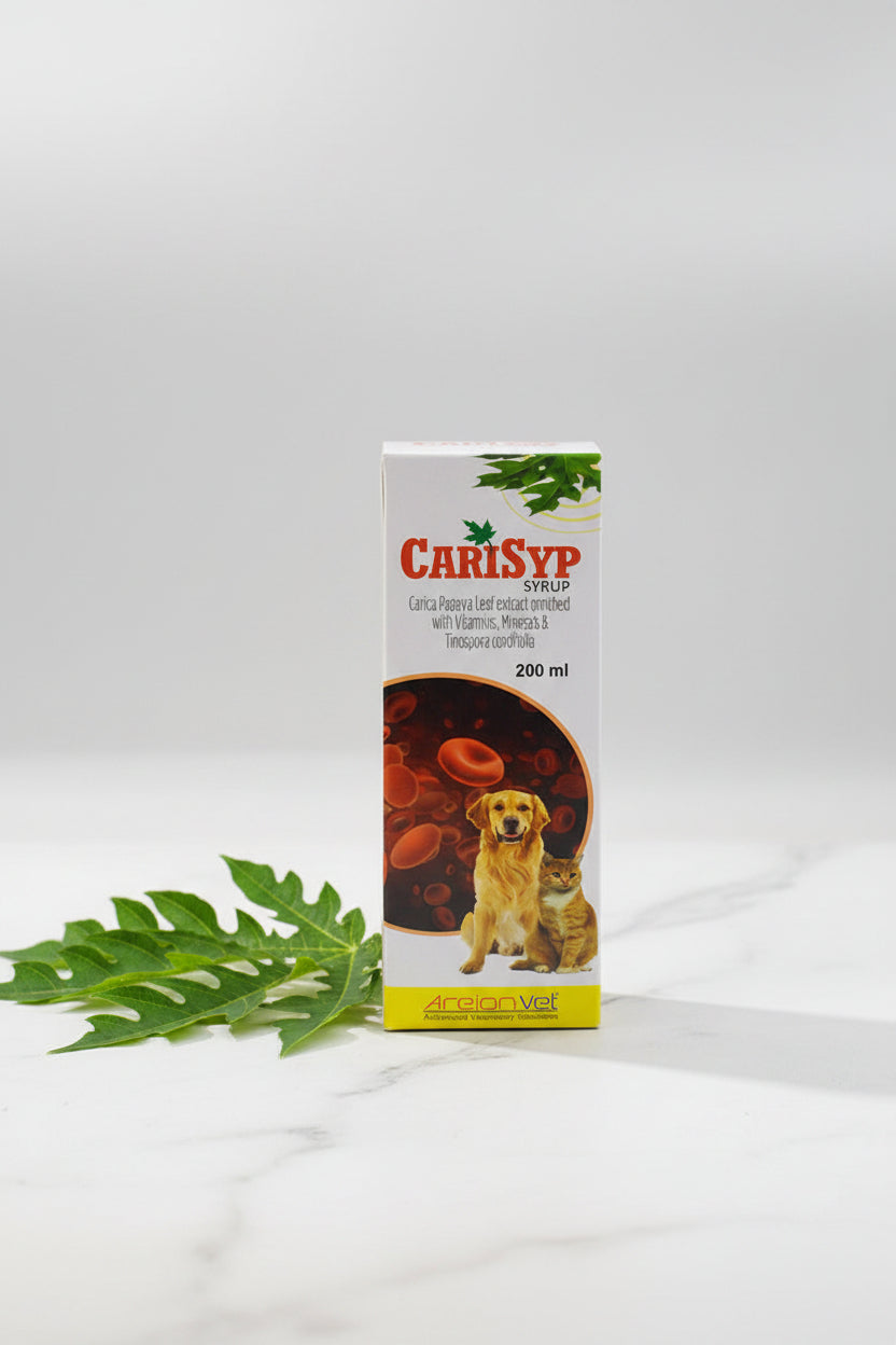 AreionVet Carisyp Syrup 100ml â€“ Platelet Booster Supplement for Pets | Supports Recovery & Immunity