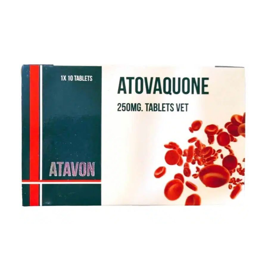 Sihil Atavon Tablet 10â€™s â€“ Veterinary Antiprotozoal & Antimicrobial Tablets for Dogs & Cats | Atovaquone-Based Treatment