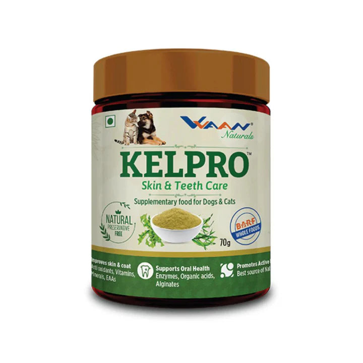 Vvaan Kelpro  for Cats & Dogs - Kelpro Skin & Teeth Care (70g)