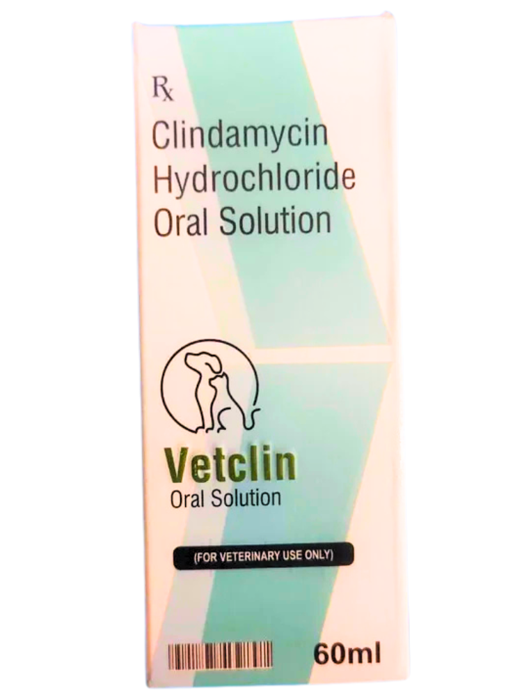 Sihil Vetclin Clindamycin Hydrochloride Oral Solution â€“ Veterinary Antibiotic Medicine for Dogs & Cats for Skin, Dental & Bacterial Infections (60 ml)