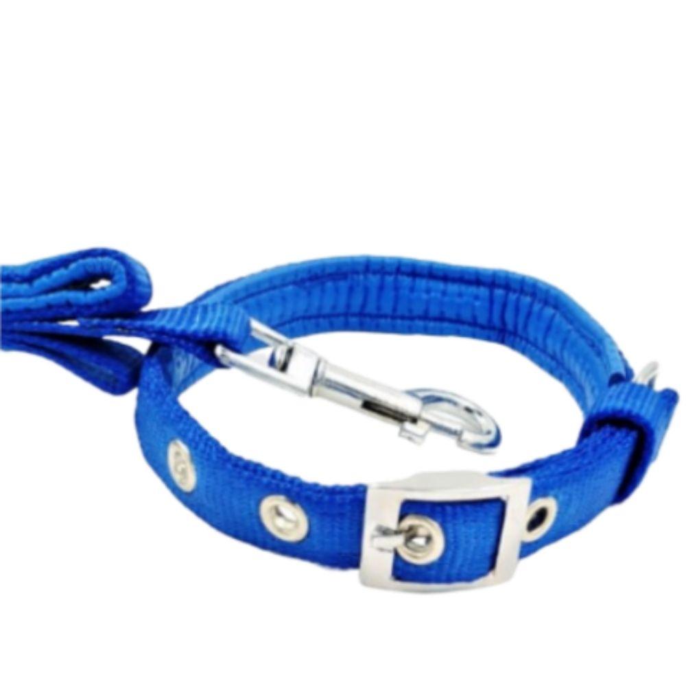 Paws & Tailsâ„¢ Plain Nylon Padded Dog Leash & Collar Set
