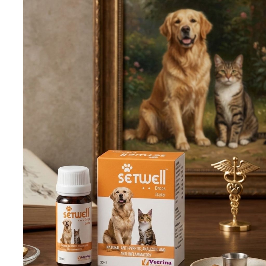 Vetrina Setwell Drops for Dogs & Cats (30ml) â€“ Natural Fever, Pain & Inflammation Relief