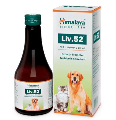 Himalaya Liv.52 Syrup for Pets â€“ Liver Support & Detox Formula