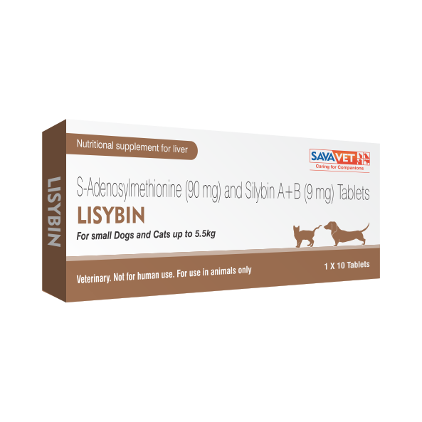 Savavet Lisybin  | Liver Support Supplement for Dogs â€“ Hepatic Health & Detox Support - Pack of 10 Tablets