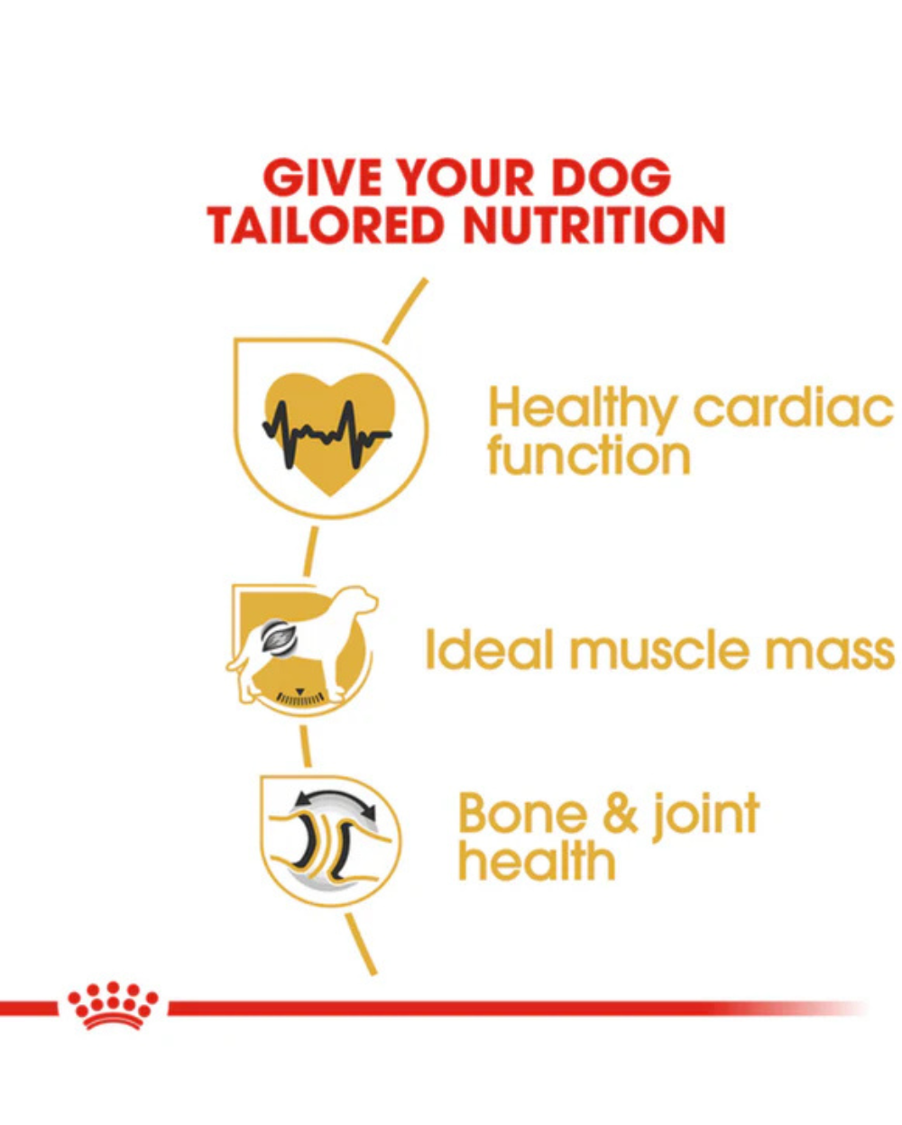 Royal Canin Rottweiler Adult Dry Dog Food â€“ 12 kg