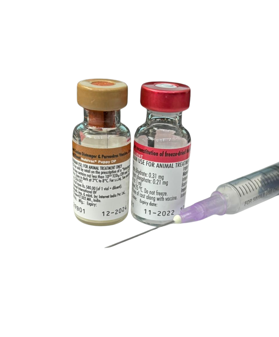MSD Nobivac Puppy DP Vaccine 1 Dose for Dogs â€“ Canine Distemper & Parvovirus Protection | Puppy Core Vaccine