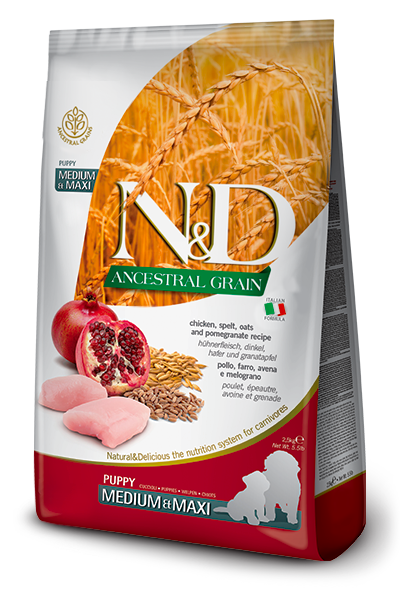 Farmina N&D Medium & Maxi Puppy Chicken Dog Food High Protein Diet for Bone Strength & Healthy