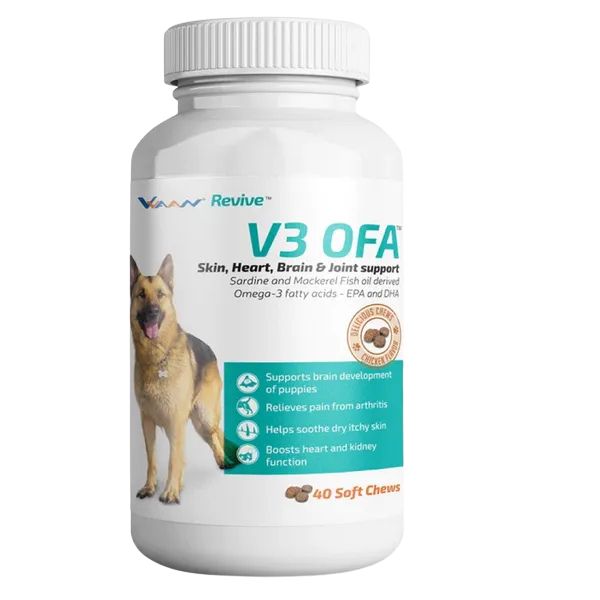 Vvaan V3 OFA Tablet Omega 3 & 6 Supplements for Dogs (Pack of 40 Tablets)