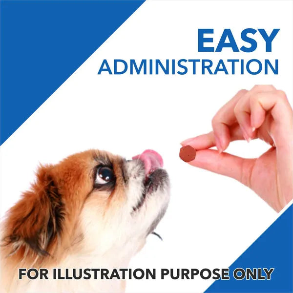 Drools Absolute Vitamin Supplement for Dogs